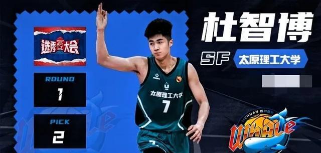 msn, entit msn, entit