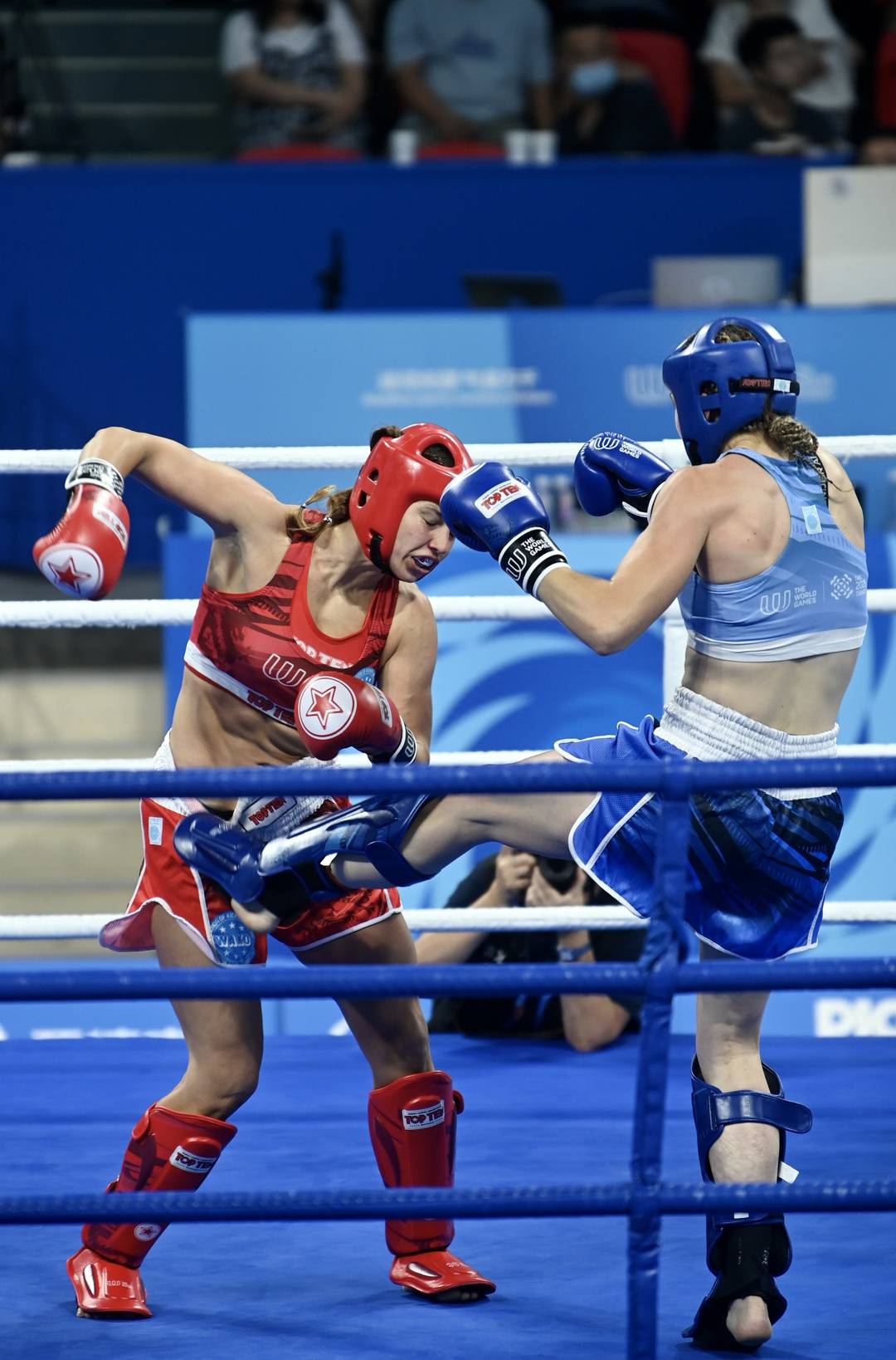 tenan, msn tenan, msn