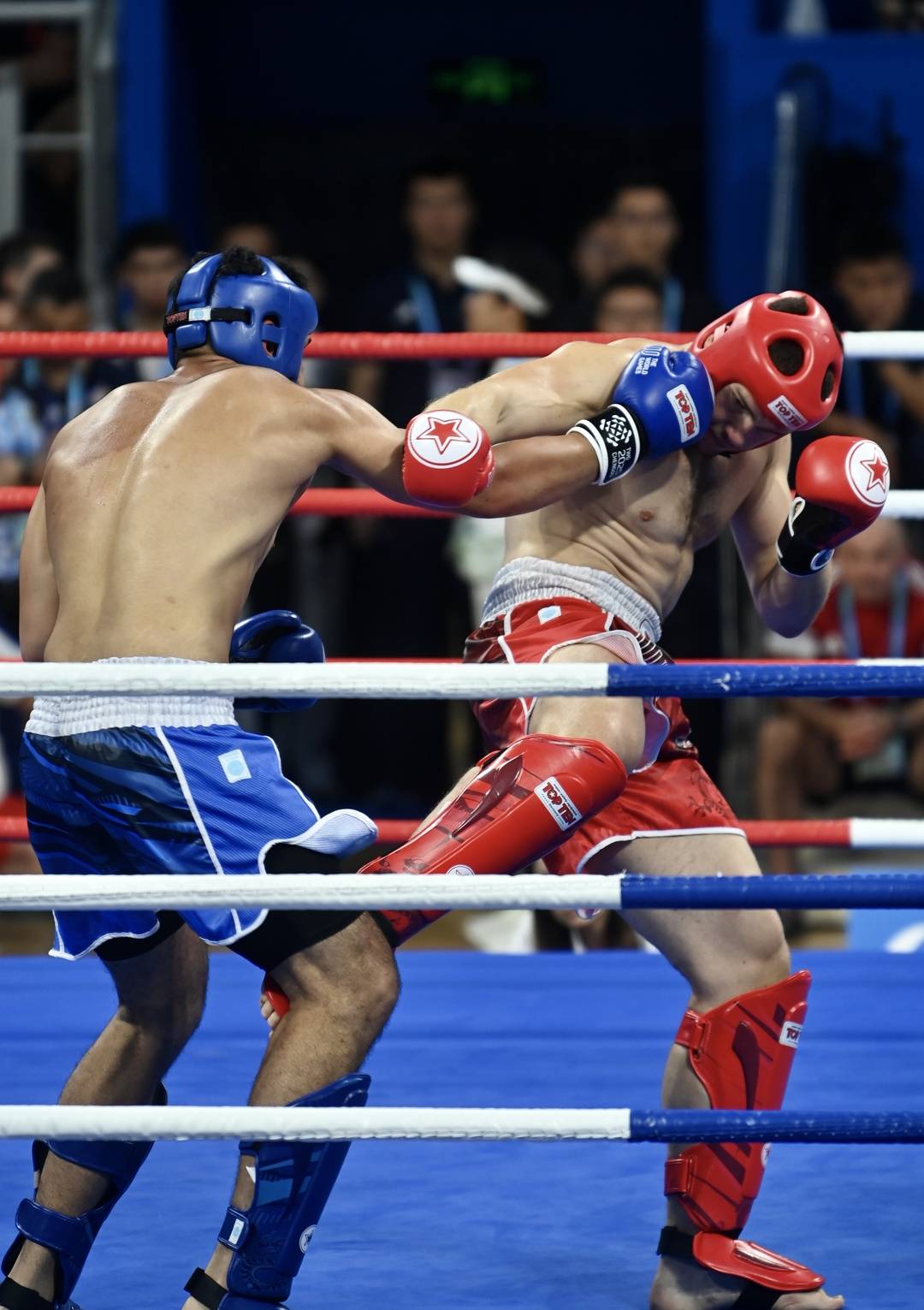 forma, alt, alt forma, alt, alt