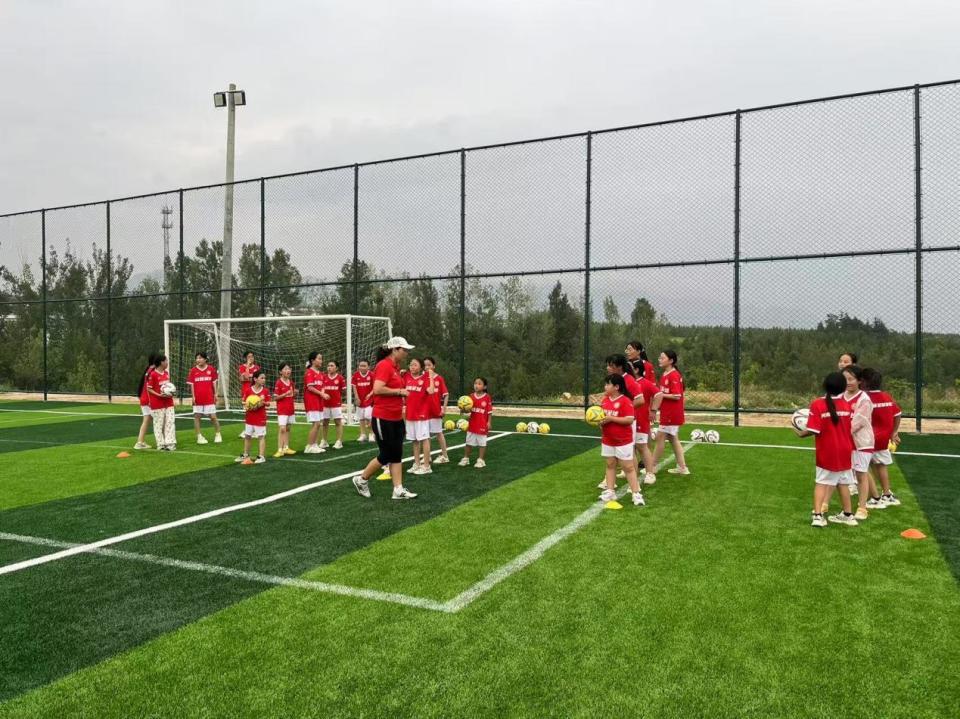 少年, 复制或建立, 业指导 少年, 复制或建立, 业指导