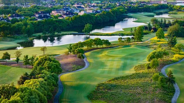 msn, 中国女子高 msn, 中国女子高