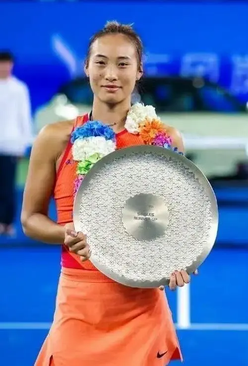 msn, entit msn, entit